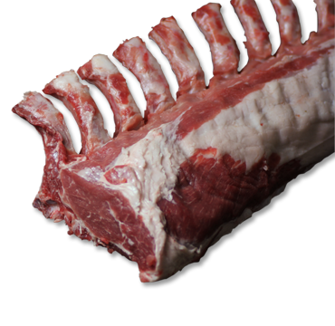 PEQU Cerdo Ibrico French Rack /kg TK
